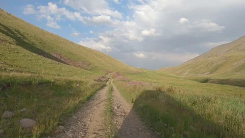Driving through nature 47 Stock Footage 316770937