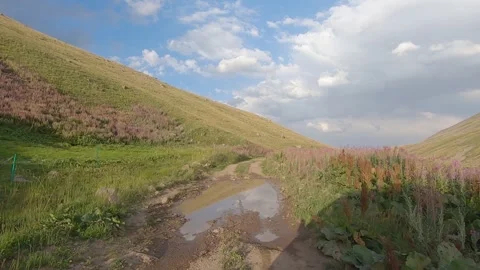 Driving through nature 48 Stock Footage 316770941