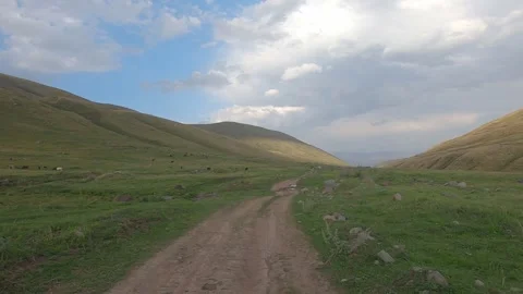 Driving through nature 66 Video stock 316771973
