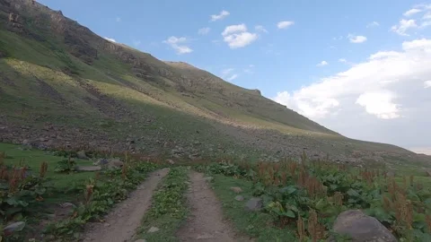 Driving through nature 9 Stock-Footage 316769860