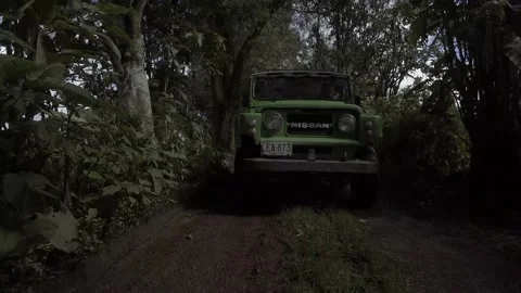 Driving through nature, bridle path 動画素材 219832608