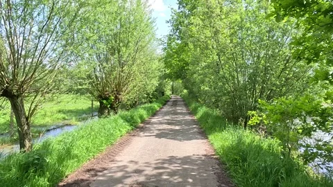 Driving through a nice street with trees and a river Stock Footage 242860067