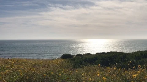 Driving Through Ocean Beach Point Loma San Diego California IMG 7351 3 Video stock 101277050