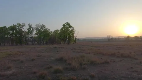 Driving through open fields and direct sunlight in the forest Stock Footage 145262903
