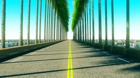 Driving through palm trees on an road in the afternoon Stock Illustration