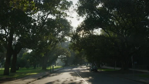 Driving through the park Stock Footage 136998852