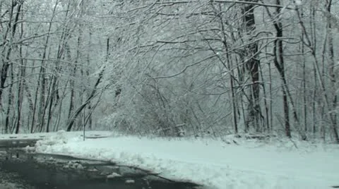 Driving through park in frosty day 3 Stock Footage