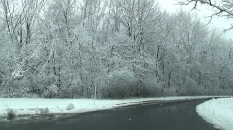 Driving through park in frosty day 2 Stock Footage