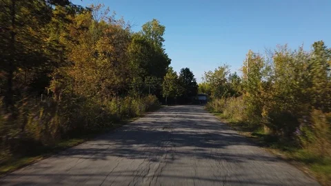 Driving Through Peaceful Natural Road During Summer Day Stock Footage 123532353