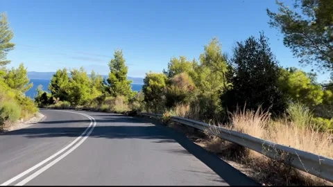 Driving Through Pine Forest on Coastal Road in Halkidiki Greece Stock Footage 334237636