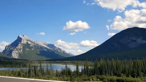 Driving Through A Pine Forest In Mountains. Stock Footage 120019905
