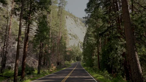 Driving through pine forest road under granite cliffs in Yosemite Stock-Footage 347987868
