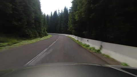 Driving through the pine forest in Romania 4K footage Vídeos de archivo 252247789