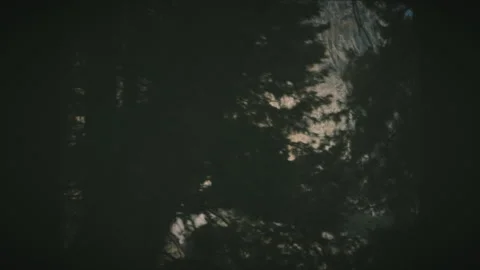 Driving through pine trees with view of Yosemite Falls in Yosemite National P Stock Footage 136732172
