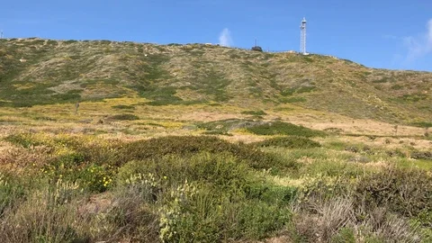 Driving Through Point Loma San Diego California IMG 7354 1 스톡 동영상 101277110