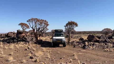 Driving through the Quiver Trees Stock Footage 250797191