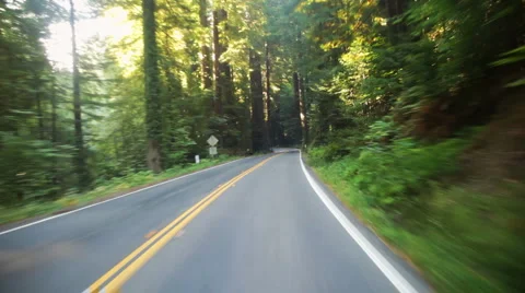 Driving through redwood forest Stock Footage