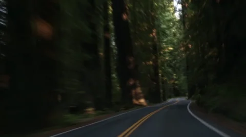 Driving through redwood forest time lapse Stock Footage 45869422