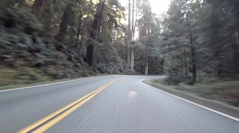 Driving through Redwoods Fast Realtime Jedediah Smith 3 Stock Footage 22247791