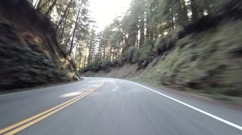 Driving through Redwoods Fast Realtime Jedediah Smith 4 Stock Footage 22247979