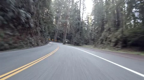 Driving through Redwoods Fast Realtime Jedediah Smith 5 Stock Footage 22248909