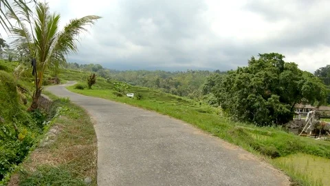 Driving through the rice paddies Stock Footage 120624718