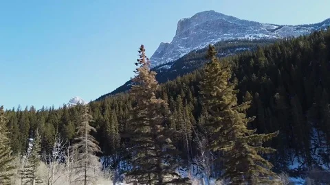 Driving through the Rocky Mountains as trees go by Stockbeeldmateriaal 104883735
