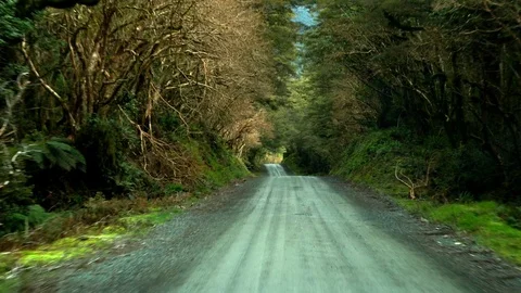 Driving through rough road surrounded by tree forest in Queenstown, New Zealand Stock Footage 95424359