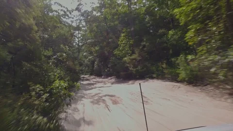 Driving through sandy tracks in a rainforest Stock Footage 94048618