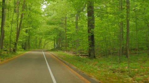 Driving through scenic drive Stock Footage 56798938