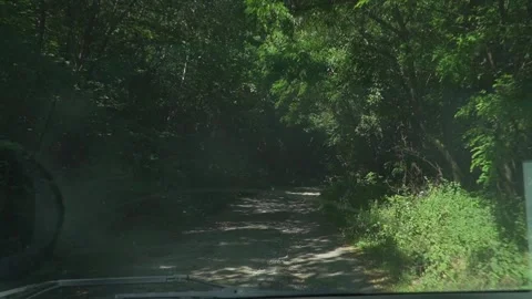 Driving Through a Scenic Forest Road Stock Footage 304577961
