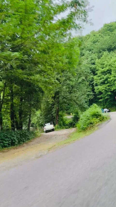 Driving through a scenic forest road, POV from inside a car, Vídeos de archivo 336849225