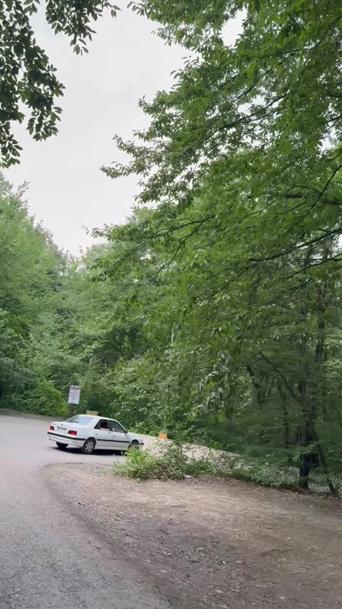 Driving through a scenic forest road, POV from inside a car Vídeos de archivo 336849448