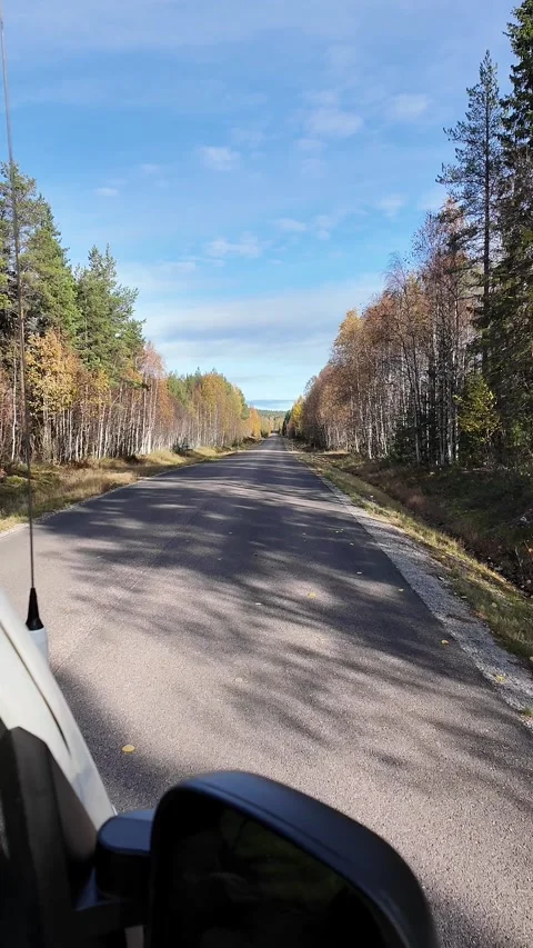 Driving through a scenic Swedish forest road during autumn Stock Footage 340405002