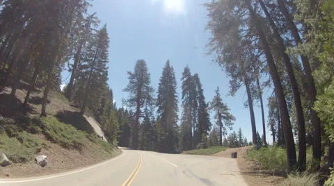 Driving Through Sequoia National Park Stock Footage 44233413