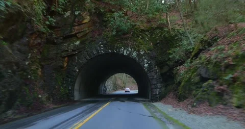 Driving through a short tunnel on a forest mountain road. Stock Footage 276905358