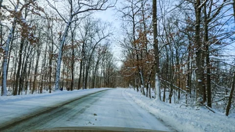 Driving Through A Snow Covered Forest Stock Footage 171191262
