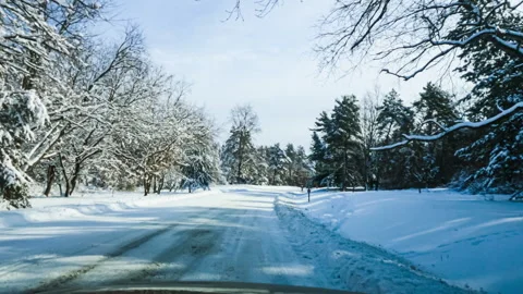 Driving Through A Snow Covered Forest Stock Footage 171191497