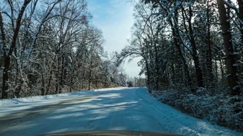 Driving Through A Snow Covered Forest Stock Footage 171191897