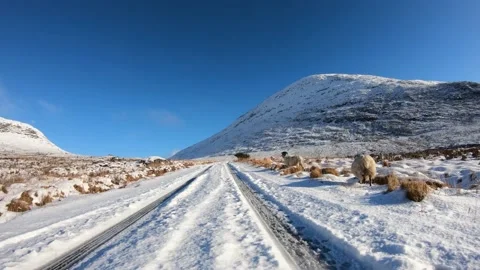 Driving through the snow covered Glenveagh National Park in County Donegal Vídeos de archivo 232103501