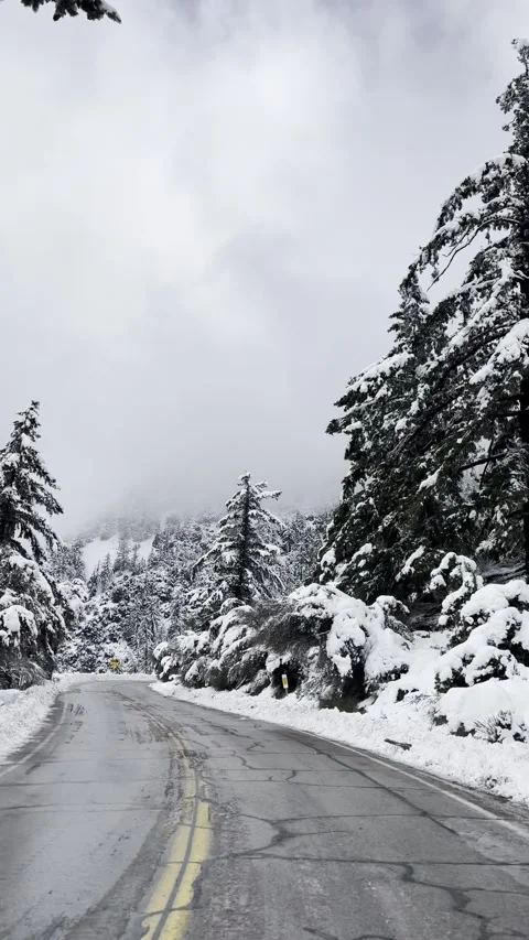 Driving Through Snow Covered Mountain Road 動画素材 263930002