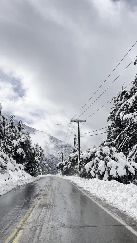 Driving Through Snow Covered Mountain Road Vídeos de archivo 263930104