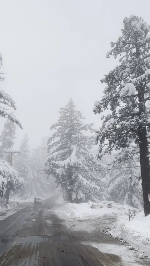 Driving Through Snow Covered Mountain Road Vídeo Stock 263930183