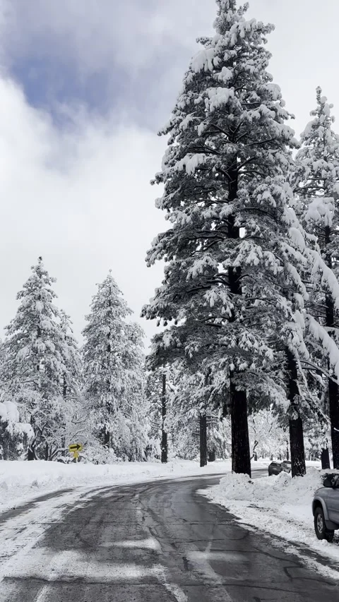 Driving Through Snow Covered Mountain Road Vídeo Stock 263930216