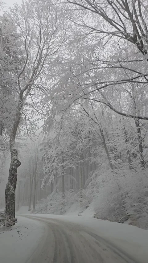Driving through snow covered mountain pass with icy forests on both sides a.. Video stock 328731019