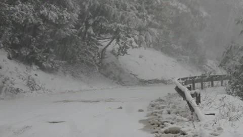 Driving through snow Video stock 10356940