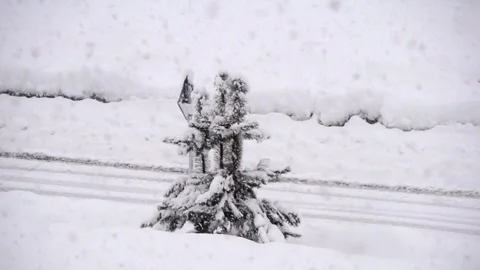 Driving through the snow. Winter road. Snow falls. Heavy snow on the road. Stock-Footage 101683246