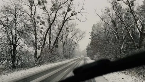 Driving Through Snowy Forest Road in Winter Stock Footage 314530580