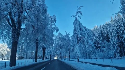 Driving Through Snowy Forest in Winter Viewed from Car Window Stock Footage 340636680
