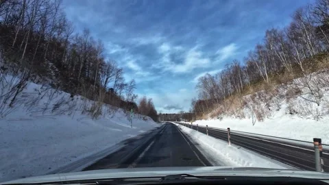 Driving through snowy pine forest highway no traffic Video stock 333091269